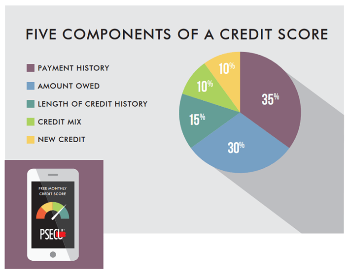 redit score explained chart