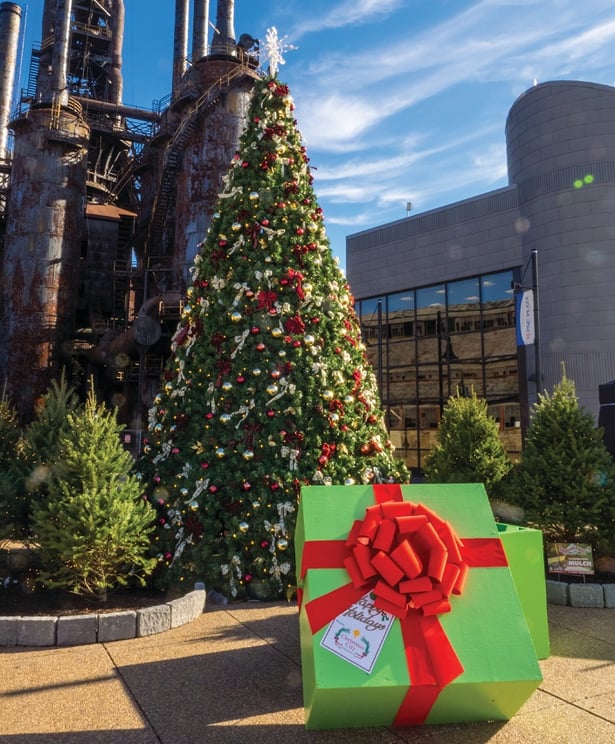 Christmas tree taken by Craig Roberts