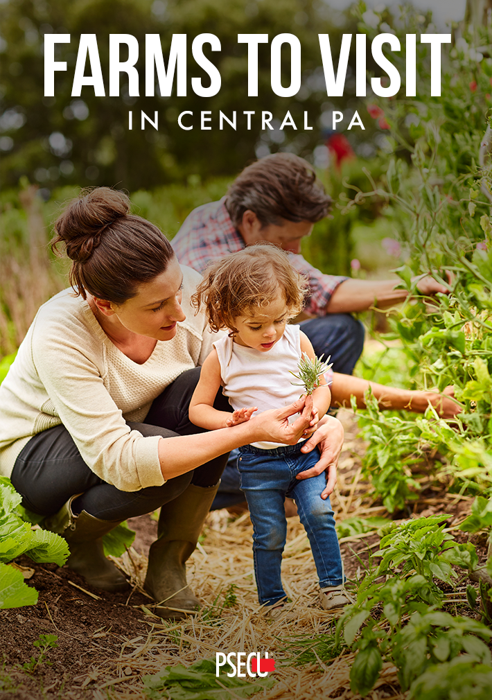 farms to visit in central PA