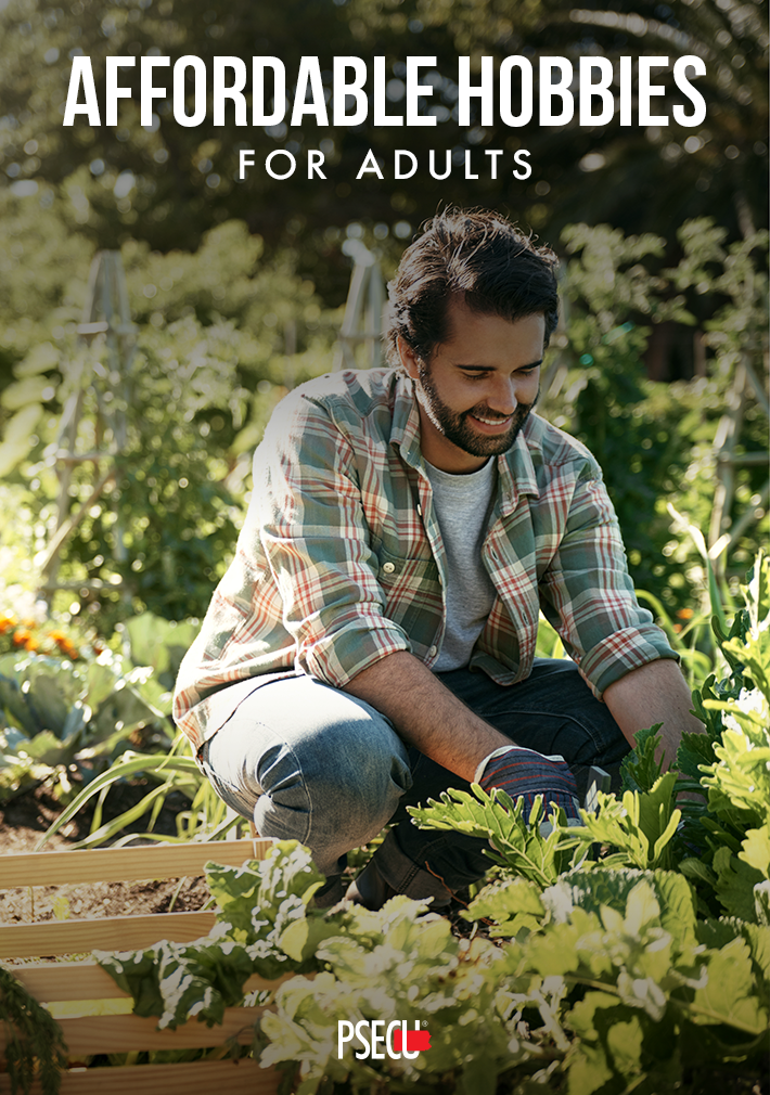 affordable hobbies for adults