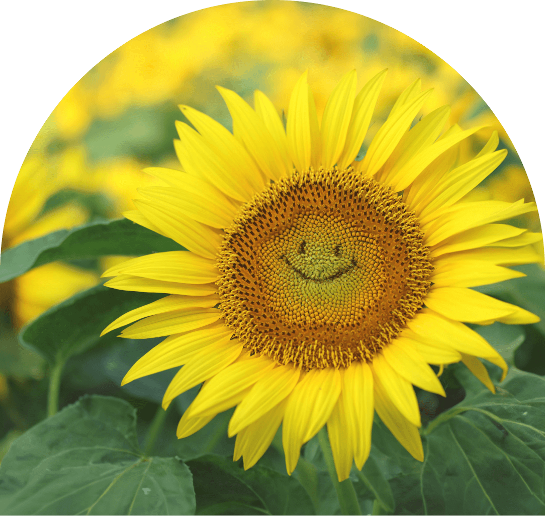 PSECU-Website-Close-Application-Header