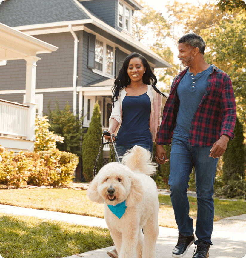 A couple walking their dog